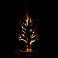 Feuerstelle - Black Forest